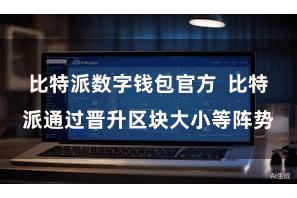 比特派数字钱包官方 比特派通过晋升区块大小等阵势